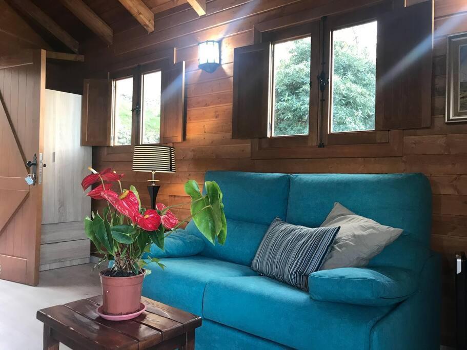 Cozy Mountain Chalet La Orotava Esterno foto